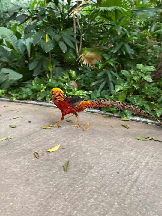 Gartenanlage Tropical Islands Resort