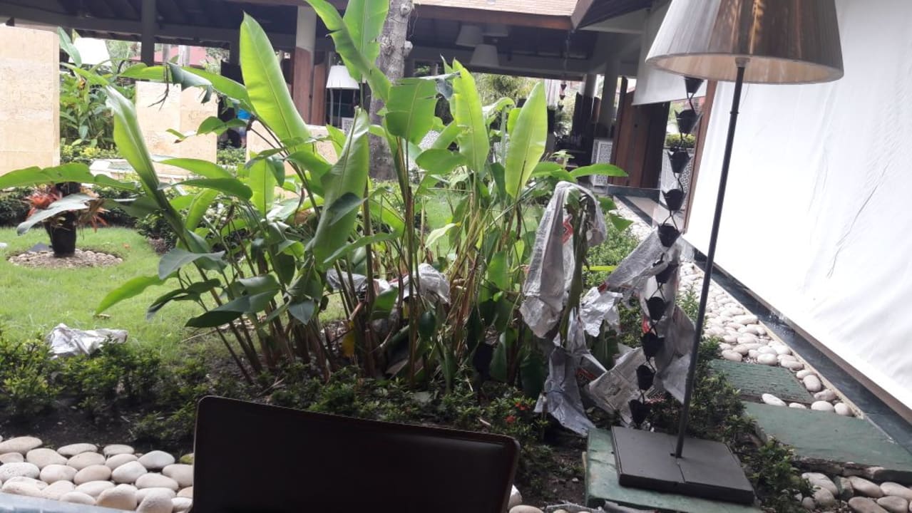 Lobby Hotel Grand Palladium Palace Resort, Spa & Casino