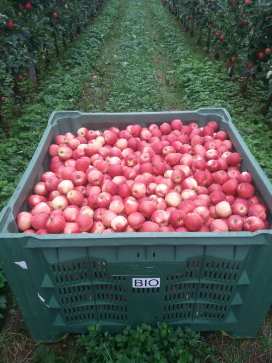 Sonstiges Appartements Villa Fortuna