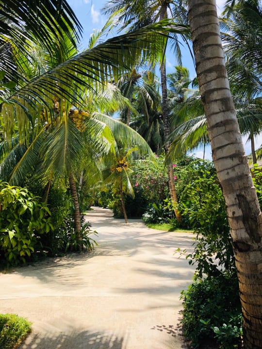 Ausblick Kuramathi Maldives