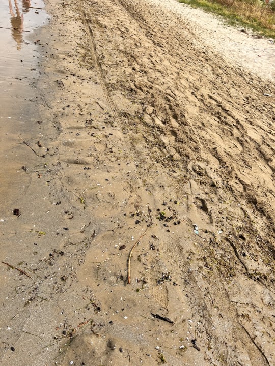 Strand Korumar Ephesus Beach & Spa Resort