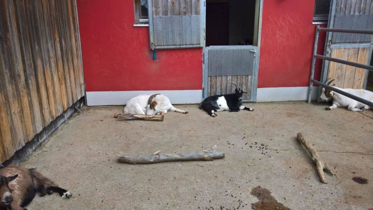 Streichelzoo ULRICHSHOF Nature · Family · Design