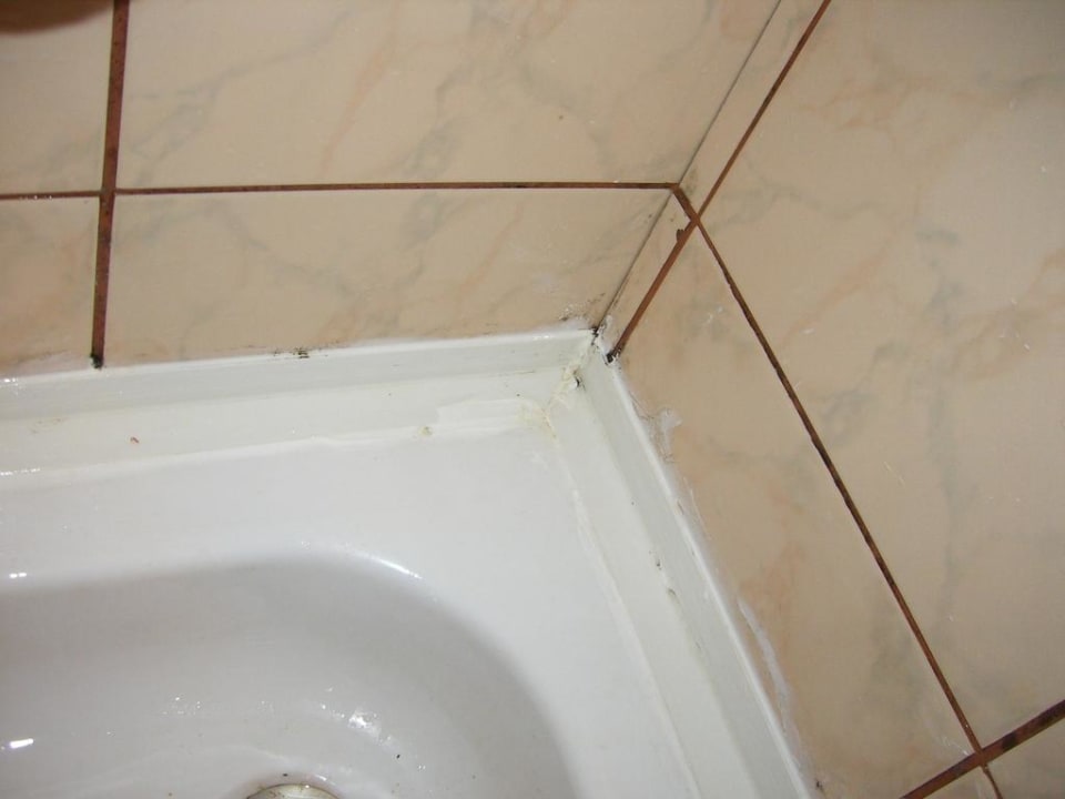 Duschetasse teilweise Schimmel Clover Magic Park Beach Alanya