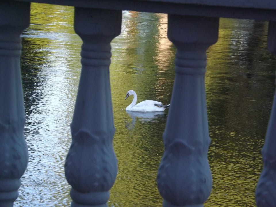 Blick vom Restaurant auf den Fluß Hotel Nad Pisą