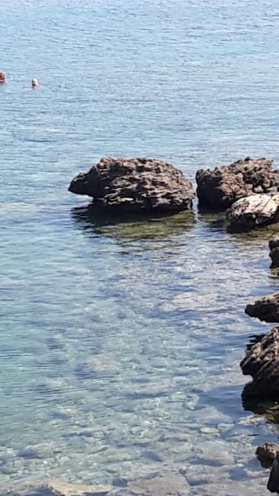 Strand Crystal Springs Beach Hotel