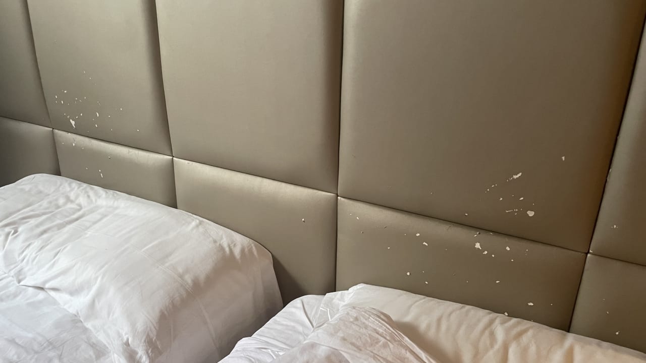 Zimmer Protur Turo Pins Hotel