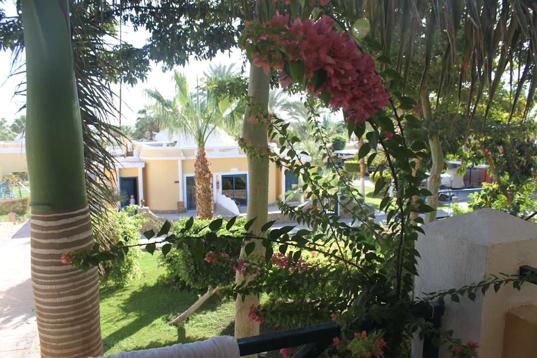 Вид из номера Mirage Bay Resort & Aqua Park