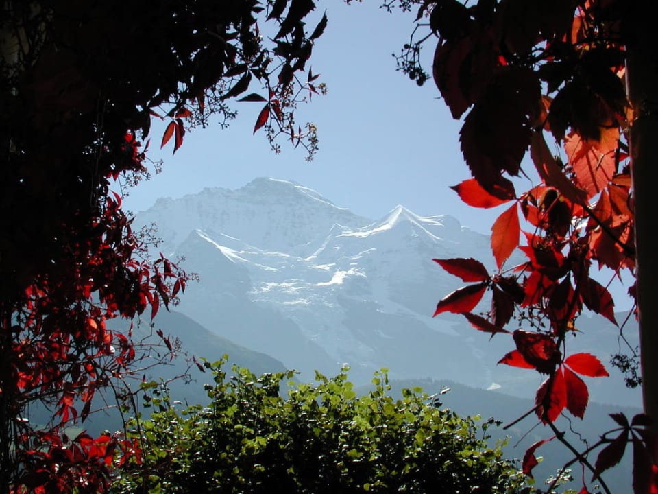 Herbstaussicht Hotel Bellevue - Traditonal Swiss Hideaway
