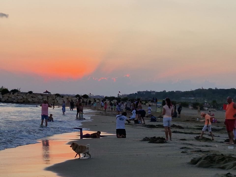 Strand Hane Family Resort