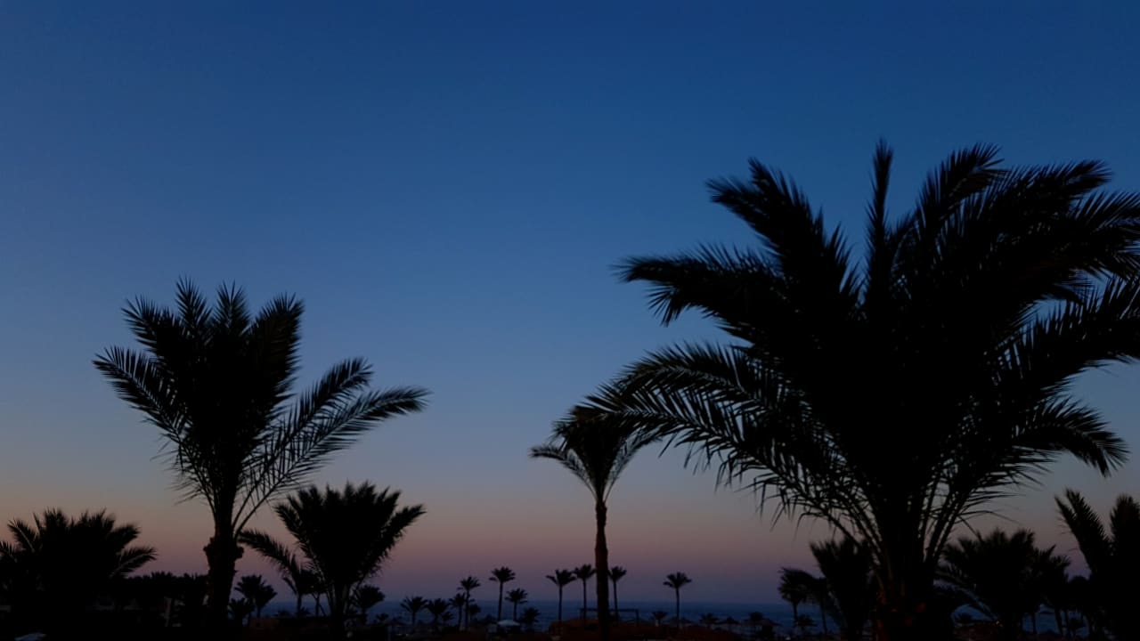 Pool Three Corners Sea Beach Resort