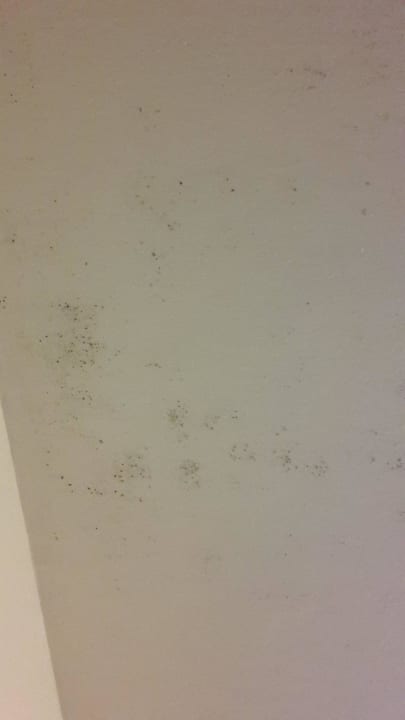 Wand mit Schimmelflecken Hotel Viva Dominicus Beach by Wyndham - All Inclusive Resort