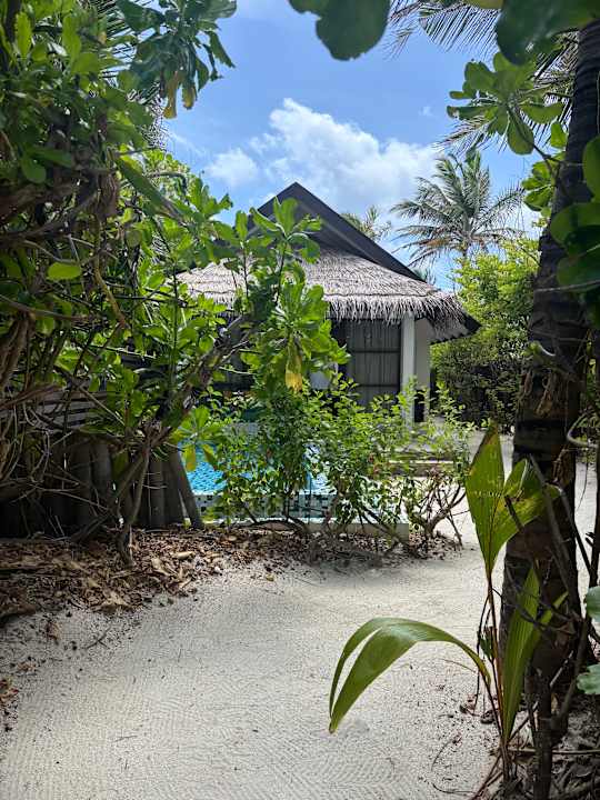 Zimmer OBLU SELECT at Sangeli Island