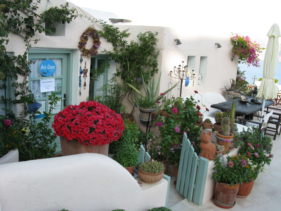 Christas Blumenmeer Aris Caves