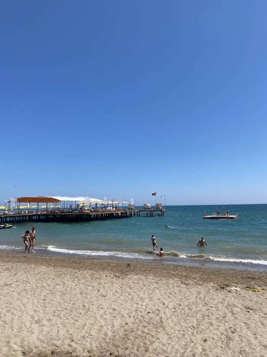 Strand Papillon Ayscha