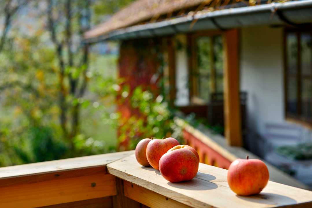 Sonstiges Hofatelier Menacher - Appartements