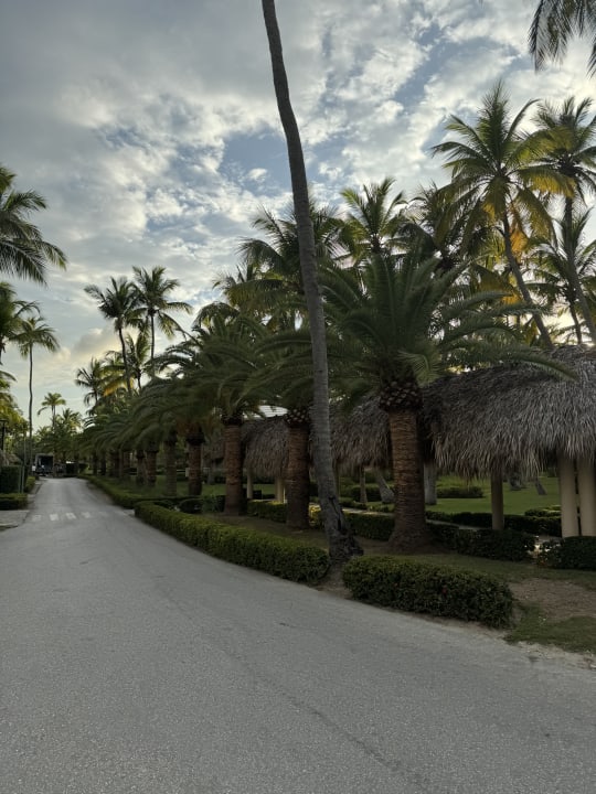 Gartenanlage Grand Palladium Punta Cana Resort & Spa