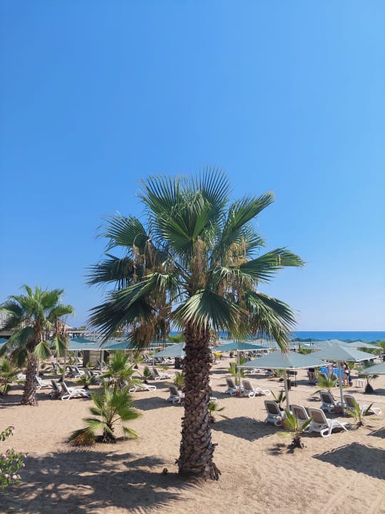Strand Paloma Oceana