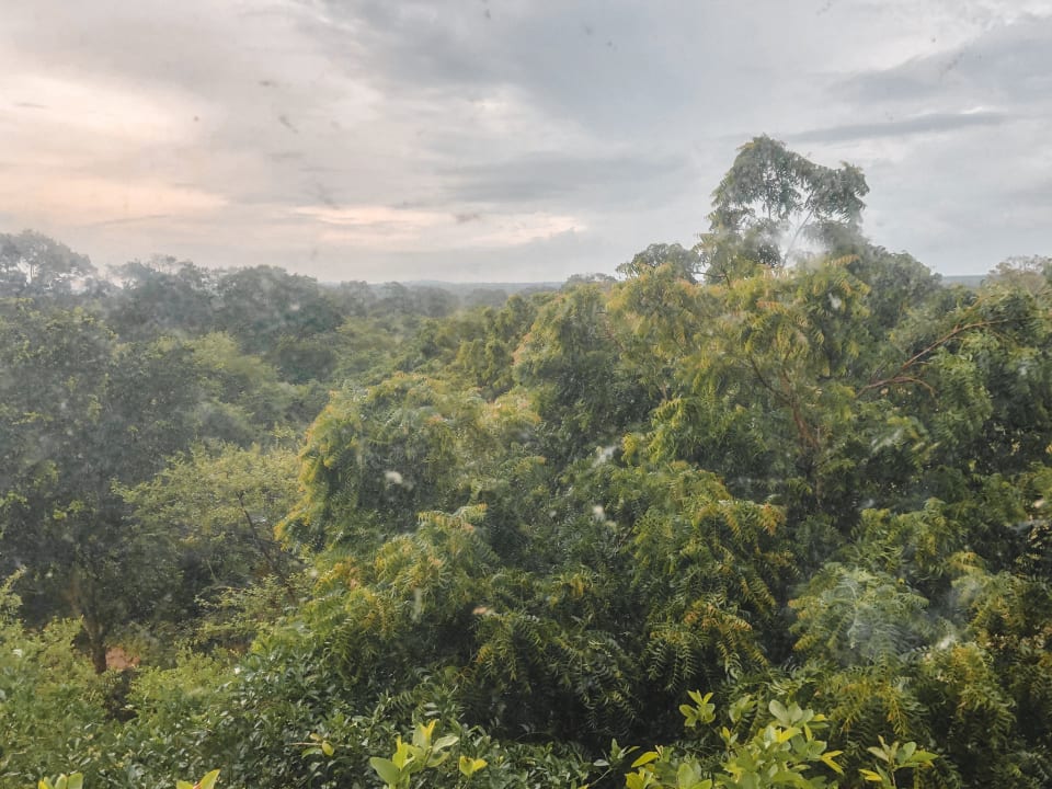 Ausblick Hotel Bentota Village
