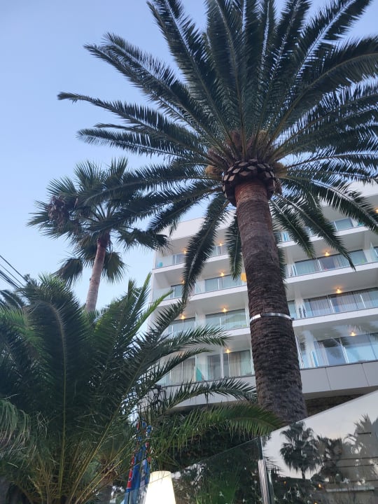 Außenansicht allsun Hotel Cormoran