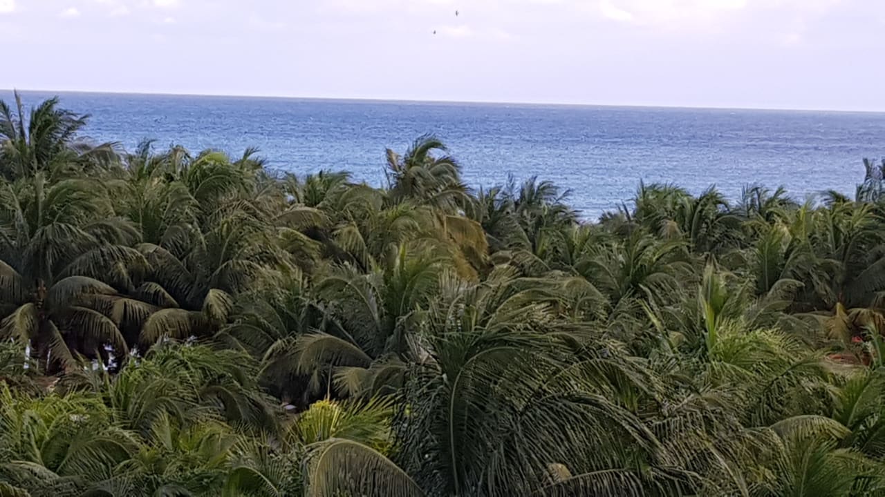 Ausblick TUI BLUE El Dorado Seaside Suites