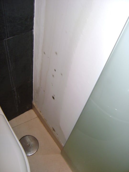 Schimmel und Wasser in der Toilette R2 Bahía Playa Design Hotel & Spa - Adults Only