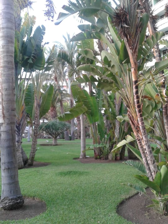 Schön gepflegter Garten Abora Buenaventura by Lopesan Hotels