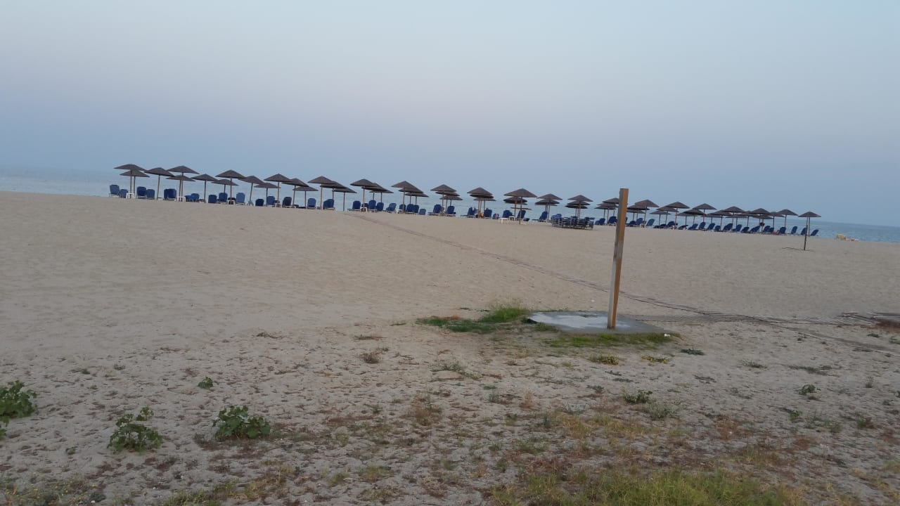 Liegen am Strand Mediterranean Princess