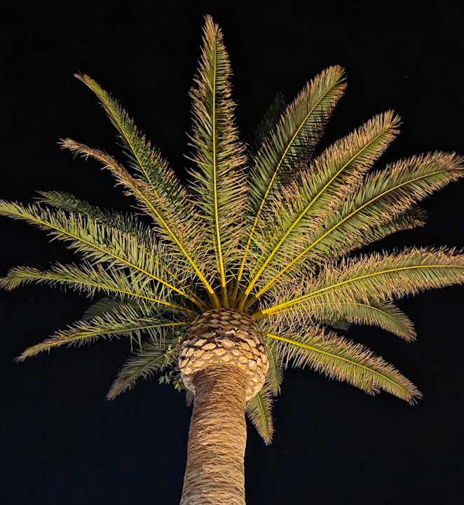 Außenansicht Calimera Sirens Beach