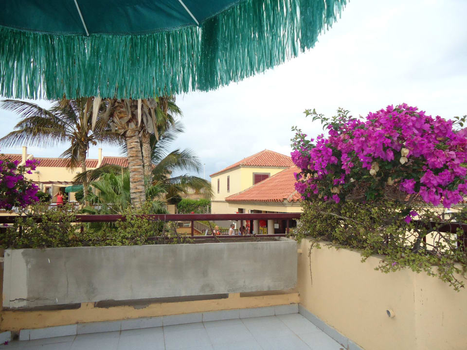 Terrasse Bungalow Maspalomas Oasis Club