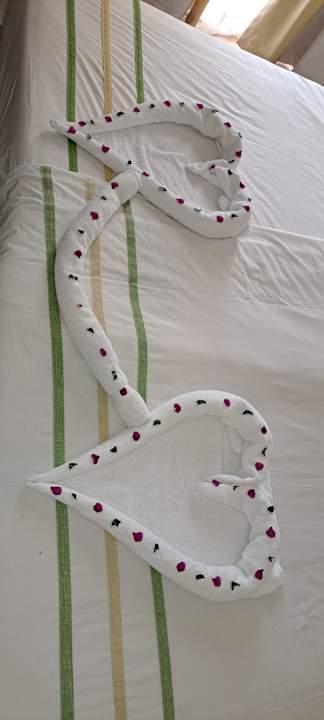 Zimmer Lemon & Soul Makadi Garden