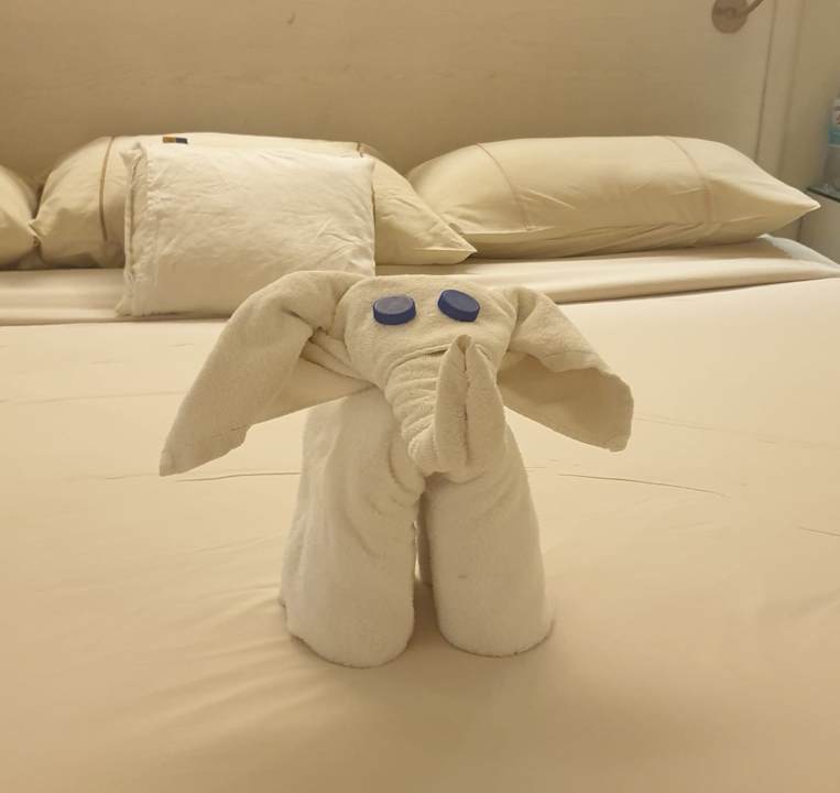 Zimmer Makadi Spa - Adults only