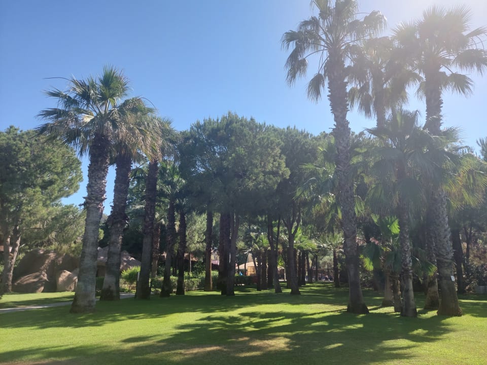 Gartenanlage Blue Waters Club