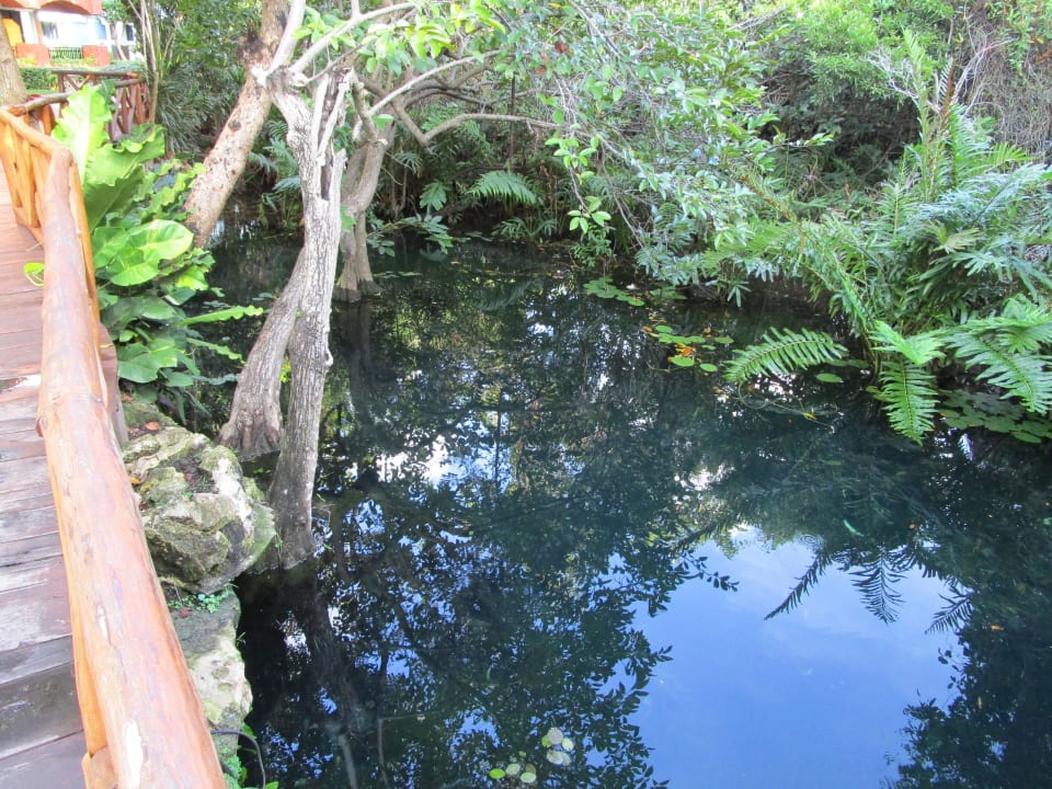 Cenote Iberostar Waves Paraiso Beach