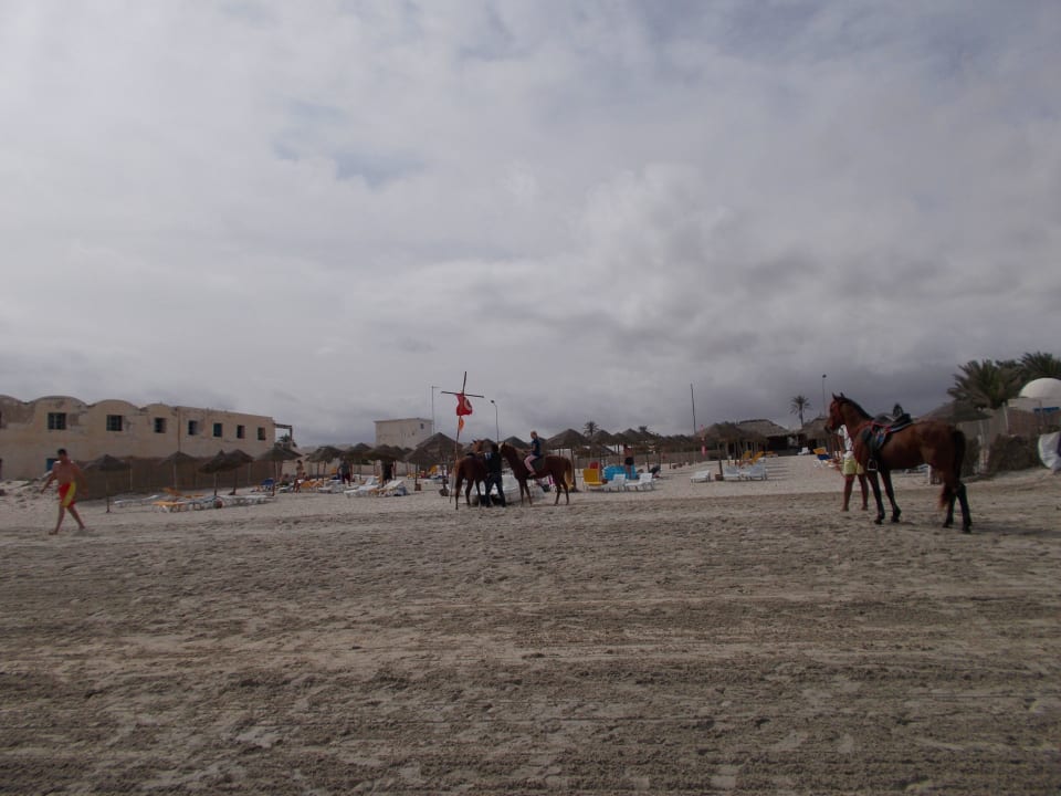 Strandabschnitt Djerba Sun Club Djerba Sun Beach Hotel & Spa