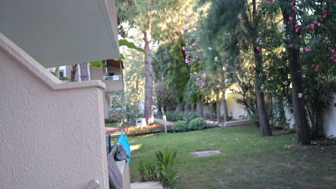 Letzte Reihe etwas :-( Club Sidelya Hotel