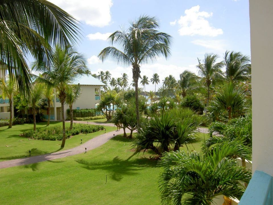 Gartenanlage Dreams La Romana Resort & Spa