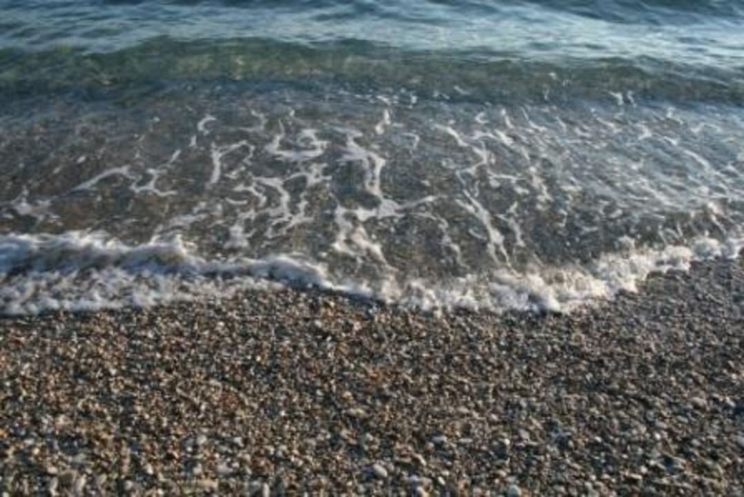 Normaler Wellengang Hotel Saint Nicholas