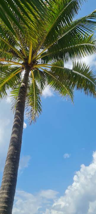 Strand Aqua Beach Resort & SPA