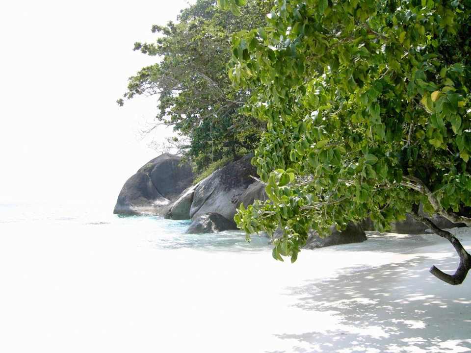 Similan Island Nr. 4 Khao Lak Sunset Resort