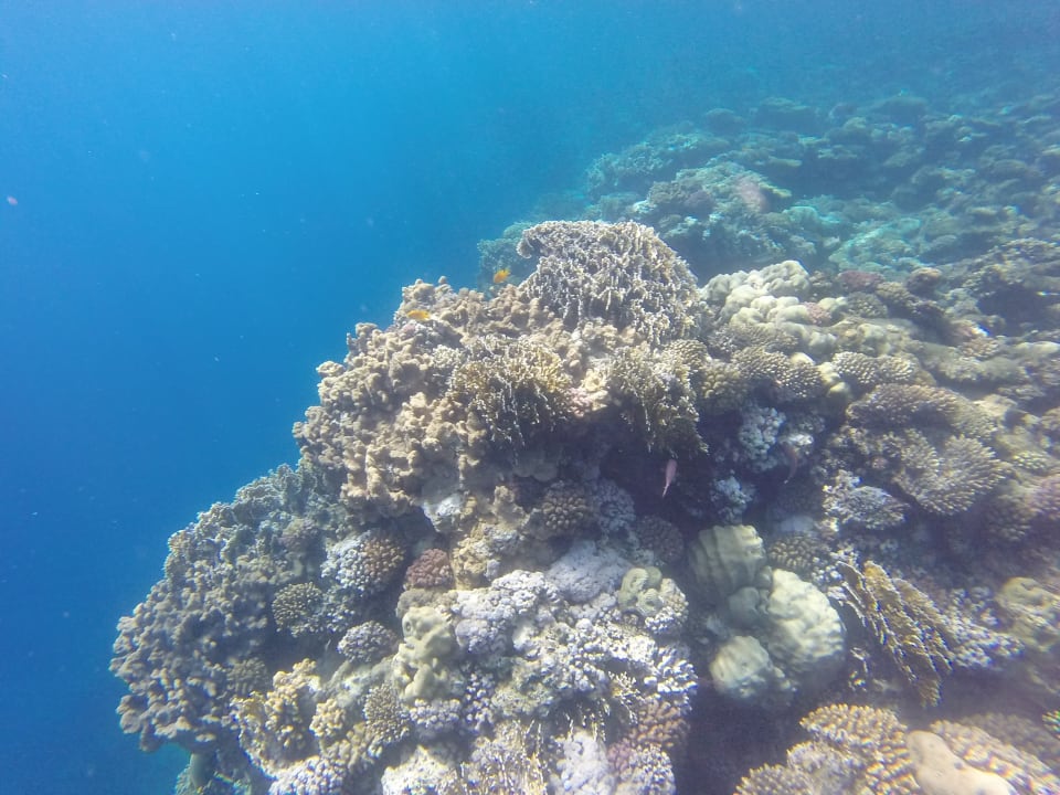 Sport & Freizeit Novotel Marsa Alam Beach Resort