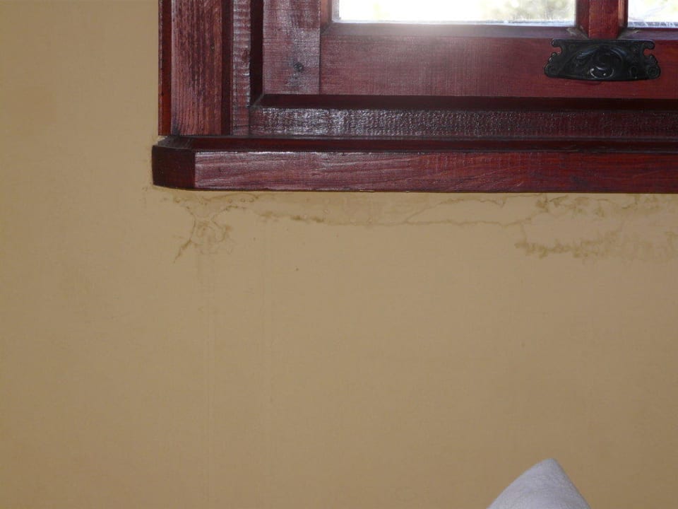 Grzyb Hotel Pink Palace