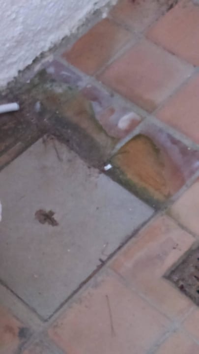 "Terrasse"  Sun Club Eldorado