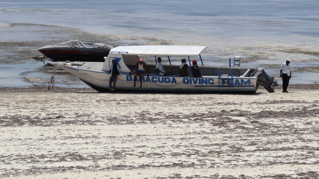 Bei Ebbe Hotel Traveller's Club