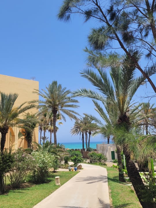 Pool El Ksar Resort & Thalasso