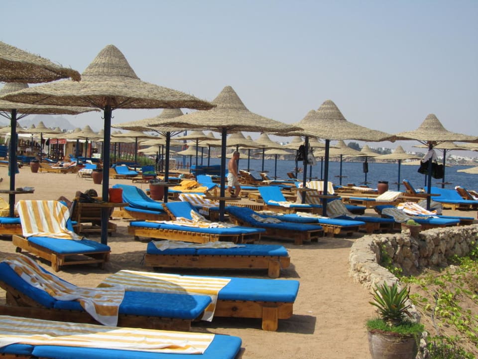 Hotel Shores Aloha Amphoras Blu