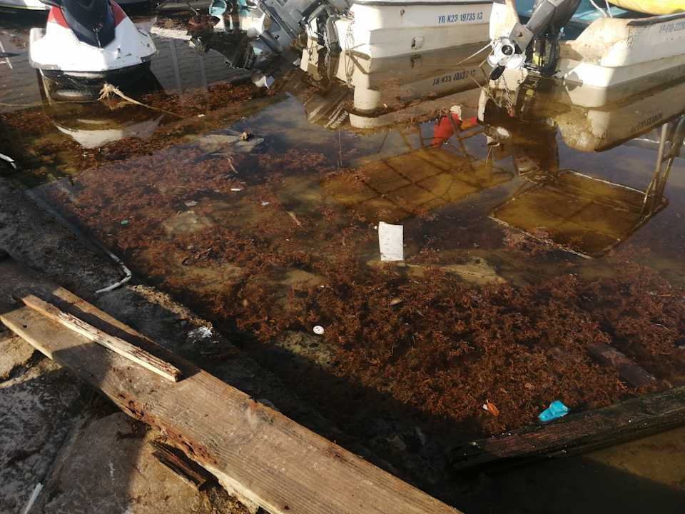 Außenansicht whala!boca chica