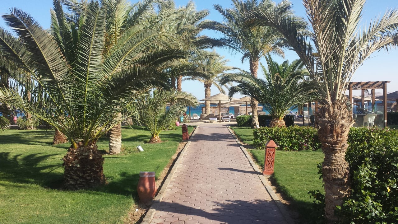 Weg zum Strand Fort Arabesque Resort, Spa & Villas