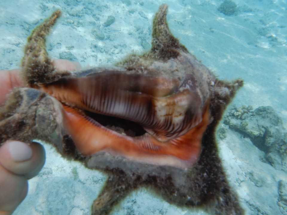 Sport & Freizeit NH Collection Maldives Havodda Resort