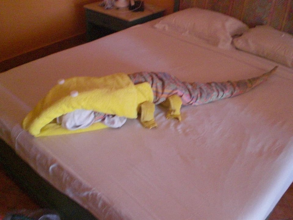 Krokodil Arabia Azur Resort