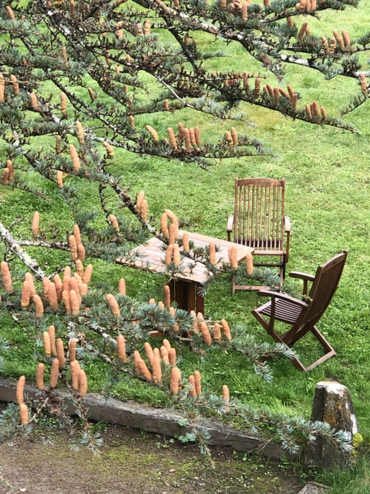 Ausblick Hapimag Resort Château de Chabenet